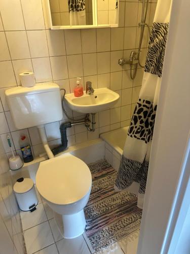 Ferien & Monteur Wohnung 1 - Little Afrika Extensive 5 Zimmer Wohnung, Minden (foto 8)