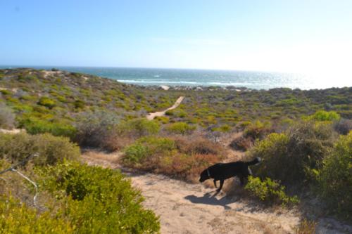 Kilátás, Private Beach Cottage At Ecostays in Greenough