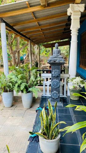 Night Owl Hostel Sigiriya - image 4