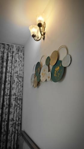 Cozy Clover, Pune