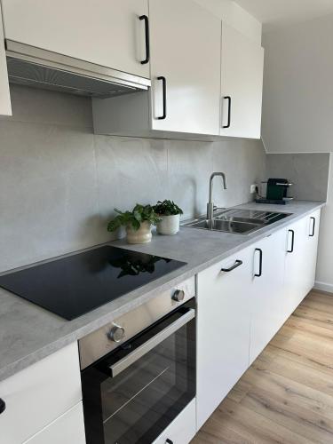 3- Duplex Lumineux au coeur d'Ixelles, Bruselas (foto 5)
