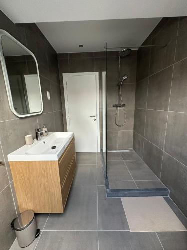 3- Duplex Lumineux au coeur d'Ixelles, Bruselas (foto 8)