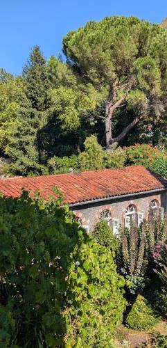 Gîte Wistéria gîte à louer Mazamet