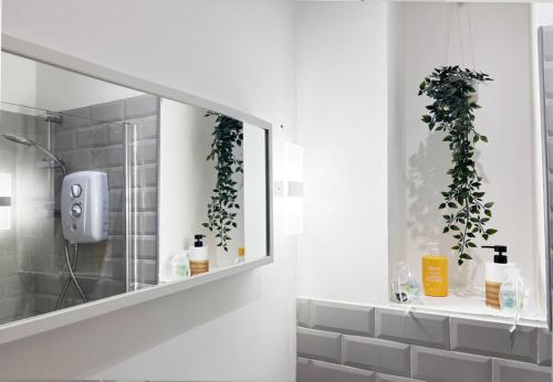 Cosy Flat Near City Centre & Princess Park, Liverpool (photo 5)