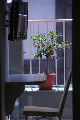 B&B Federico II – Naples, 