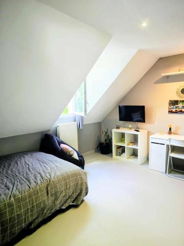F2 in Desired house, Linas