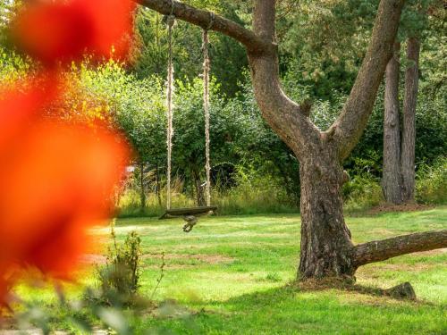  Holiday Home Ariela - 1-1km from the sea by Interhome in Vesterhede