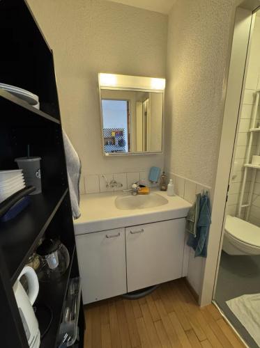 Studio next to Sihlcity!, Curych (fotografie 2)