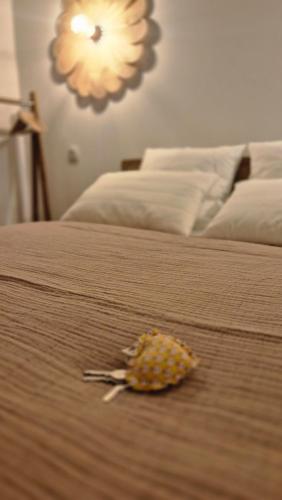 Maison LAVIGNE - Chambre d'hôtes - Blagnac