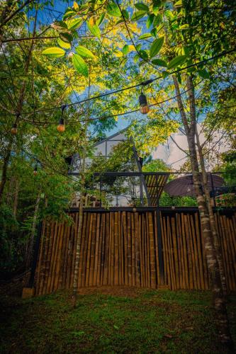 Apkārtne, Silvery Bungalows en el Bosque in San Carlos