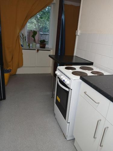 Large 2 bedroom perfect study Serene and Relaxing with Sofa Bed, Londres (foto 4)