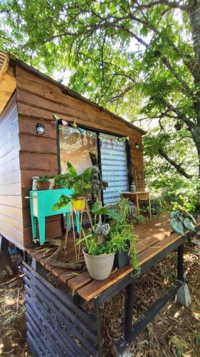 Cabin in the woods for travelers in Los Lagos