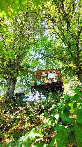 Cabin in the woods for travelers in Los Lagos