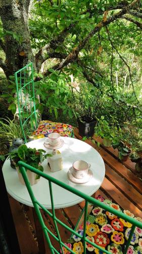 Cabin in the woods for travelers in Los Lagos