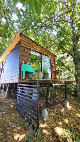 Cabin in the woods for travelers in Los Lagos