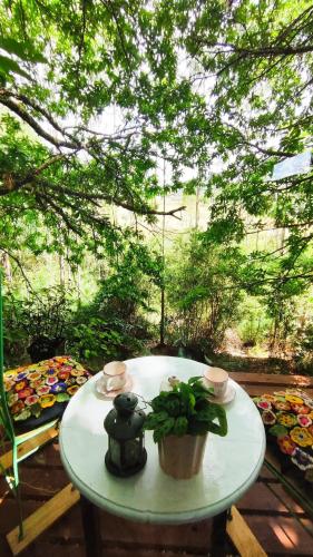 Cabin in the woods for travelers in Los Lagos