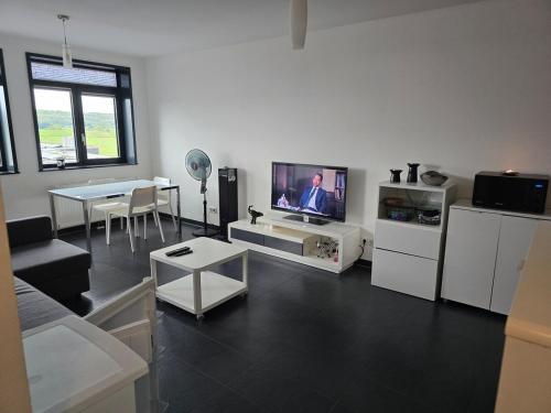 Bright, Modernized Apartment at Belval University in Belval