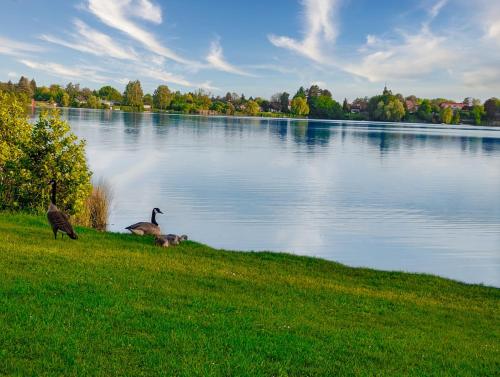Omgivelser, Gemütliche Ferienwohnung - Inheidener See (Gemutliche Ferienwohnung - Inheidener See) in Hungen