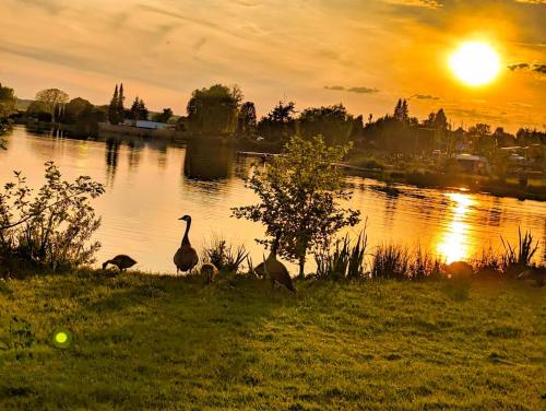 Udsigt, Gemütliche Ferienwohnung - Inheidener See (Gemutliche Ferienwohnung - Inheidener See) in Hungen