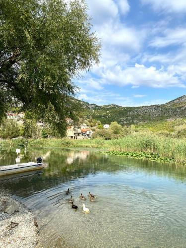 Stone house Kana-Skadar Lake in Dodoši
