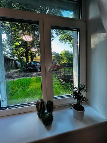 Romantic Hideaway Studio next to Agenskalns Market & free parking, Riga (foto 9)