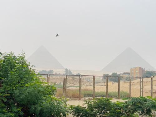 Farida Pyramids Boutique Hotel - image 3