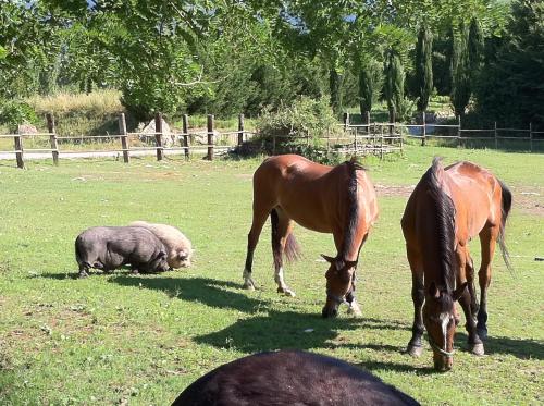 腾塔戴凯瑞酒店