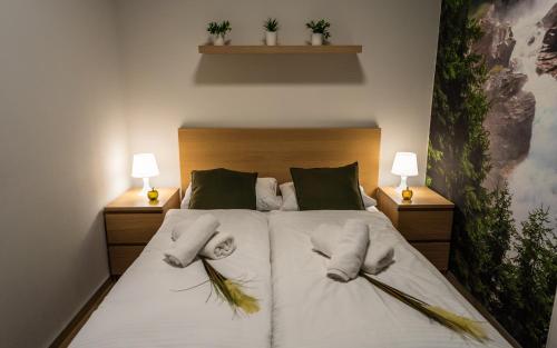 Apartament Ostoja Parku Kasprowicza- z Sauną, Szklarska Poręba (foto 9)