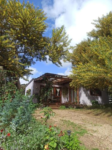 Bilú (Bilu) in La Pedrera