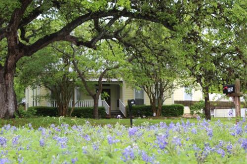 Explore Austin & San Antonio with friends & family in Kyle (TX)