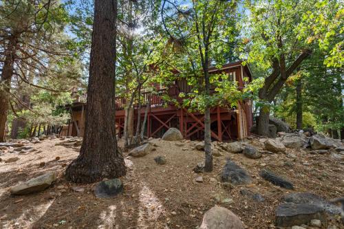 Robins Nest - Comfy cabin walking distance to Bear Mountain with Hot Tub! in Big Bear Lake, USA