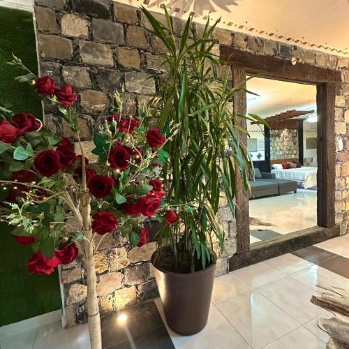 Casa Catorce Loft in Zona Centro