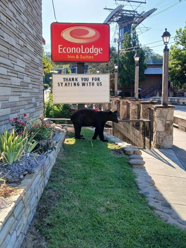 Econo Lodge Inn & Suites on the River in Gatlinburg, USA