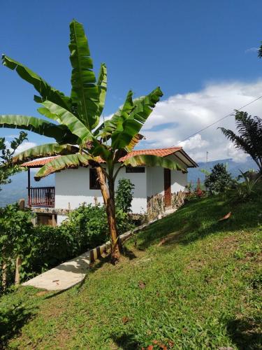 Country cabin with panoramic of the montains Tamesis - cabana refugio entre nubes in Támesis