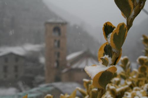 Hostal El Forn - image 7
