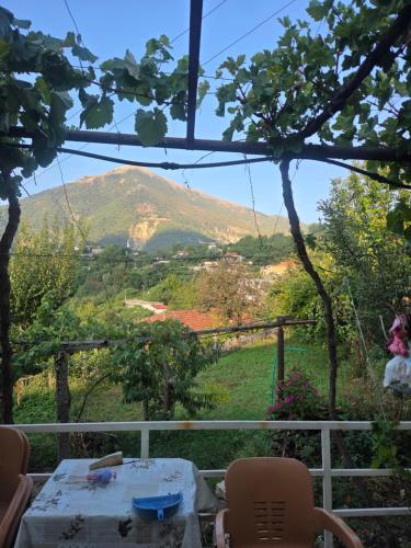 Emily Cottage house in Gjirokaster in Fushëbardhë