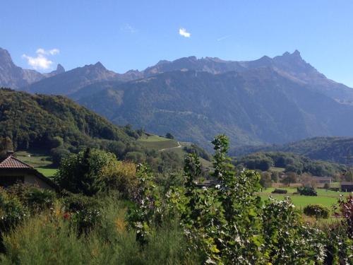 The Traditional The Traditional