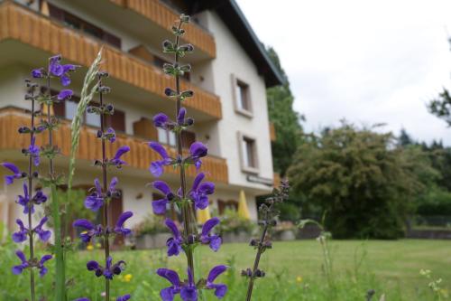 Pesentheinerhof - image 3