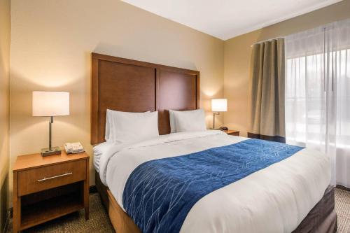 Comfort Suites – Humble, TX