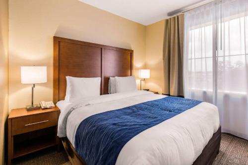 Comfort Suites – Humble, TX