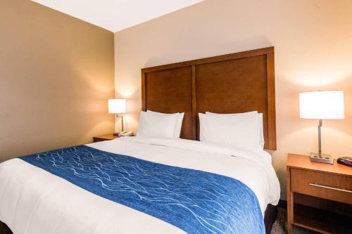 Comfort Suites – Humble, TX