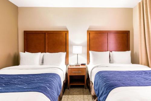 Comfort Suites – Humble, TX