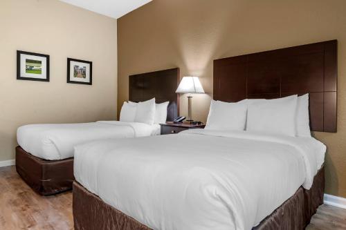 Comfort Inn & Suites DeLand - near University - image 11