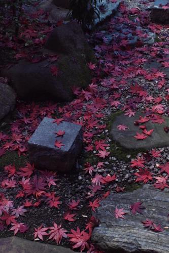 UTAHI  A 100-years-old Kyoto machiya