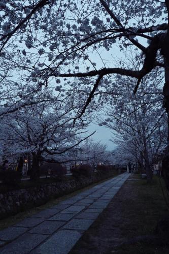 UTAHI  A 100-years-old Kyoto machiya