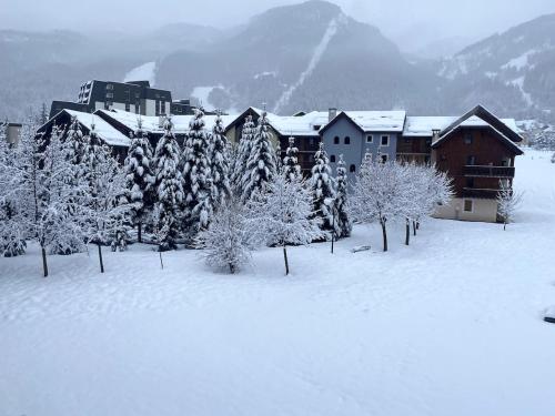 Appartement 4 pièces - Serre Chevalier - Villeneuve