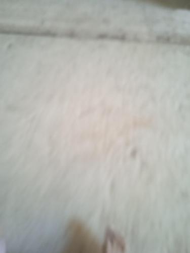 Mascara in Hai Menaouer