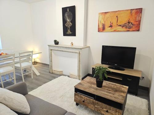 Le Déchelette 2, appartement cosy en plein centre - Location saisonnière - Roanne