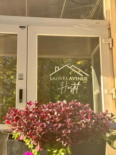 Laisves Avenue Hostel "Easy Kaunas" 2