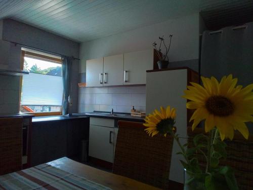 virtuve, Haus Breser in Wasserliesch